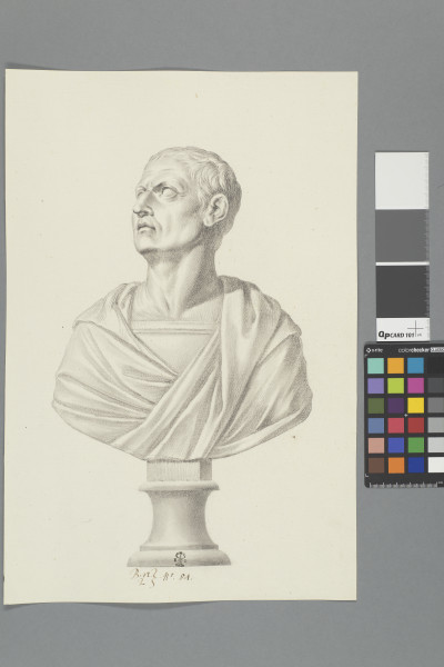 ECL-Bn.2_84-2013 image ECL-Bn.2_84-2013