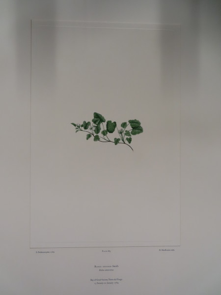 FDA-E.2916_32_13-2016 image FDA-E.2916_32_13-2016