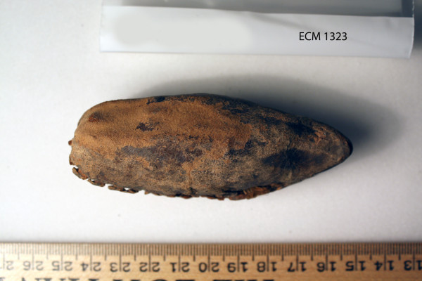 ECM.1323-2010-C image ECM.1323-2010-C