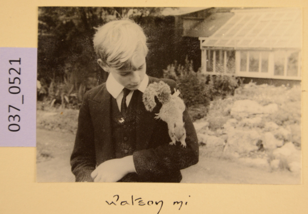 PA-A.37_521-2012 image PA-A.37_521-2012