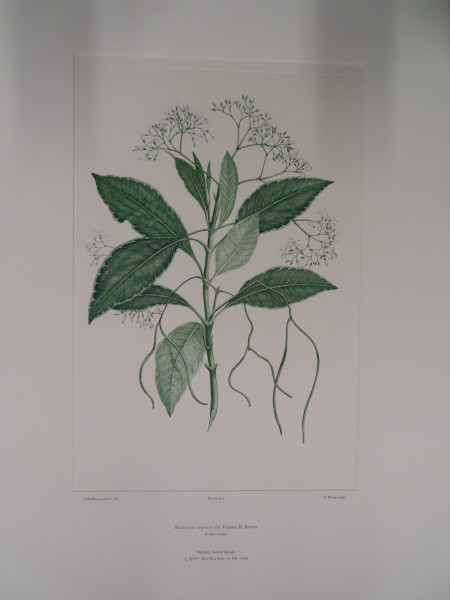 image FDA-E.2916_29_18-2016-A