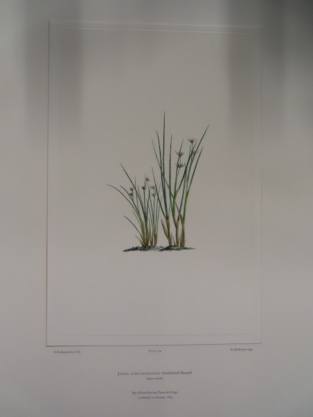 image FDA-E.2916_34_21-2016