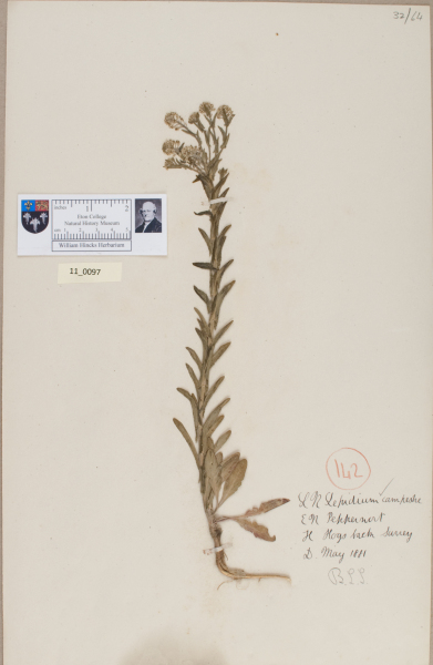 NHM_HH_11.97-2010 image NHM_HH_11.97-2010