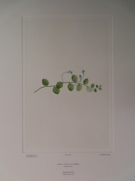 image FDA-E.2916_9_11-2016-A