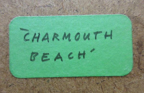 FDA-D.1666-2021-D image FDA-D.1666-2021-D