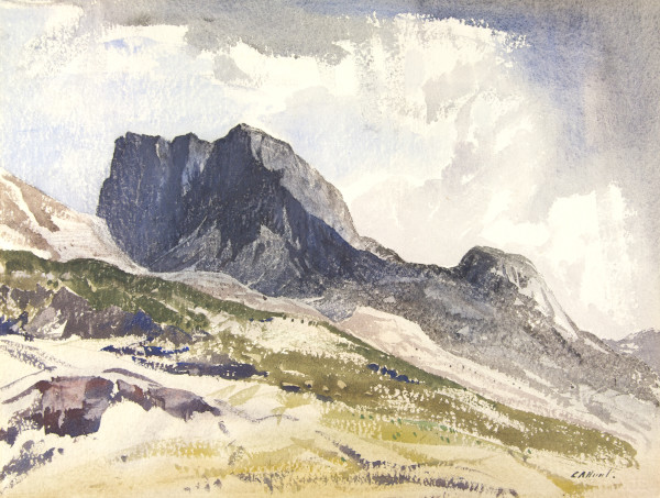 FDA-D.308-2010 image FDA-D.308-2010