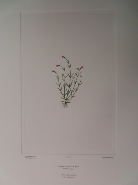 image FDA-E.2916_11_7-2016-A