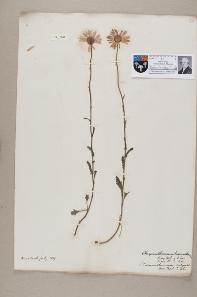 NHM_HH_29.42-2010 image NHM_HH_29.42-2010