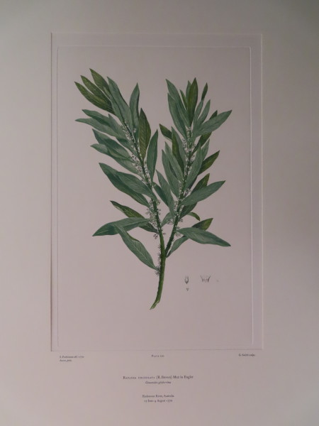 image FDA-E.2916_9_23-2016-A