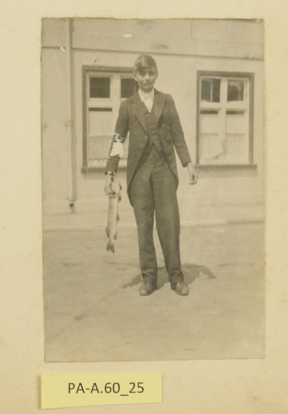 PA-A.60_25-2013 image PA-A.60_25-2013