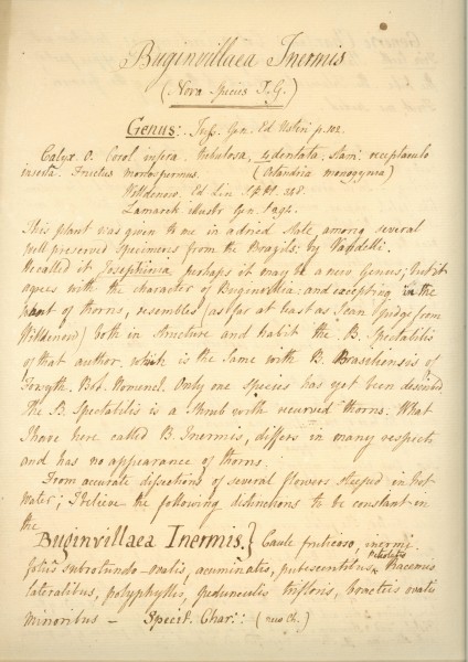 NHM-HH.5_2-2014 image NHM-HH.5_2-2014