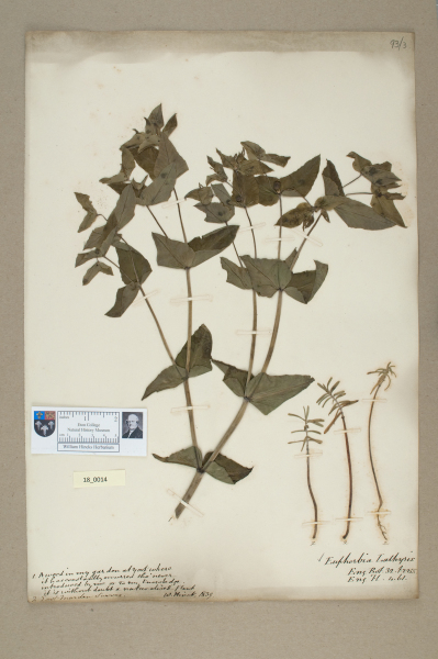 NHM_HH_18.14-2010 image NHM_HH_18.14-2010