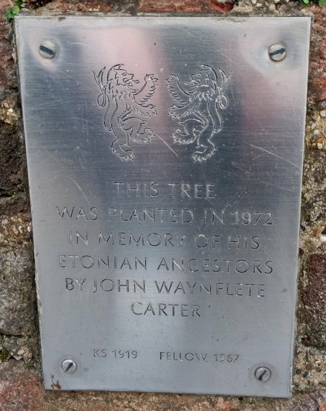 FDA-A.2479-2024 image FDA-A.2479-2024