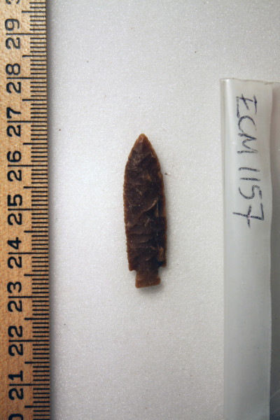 ECM.1157-2010-A image ECM.1157-2010-A