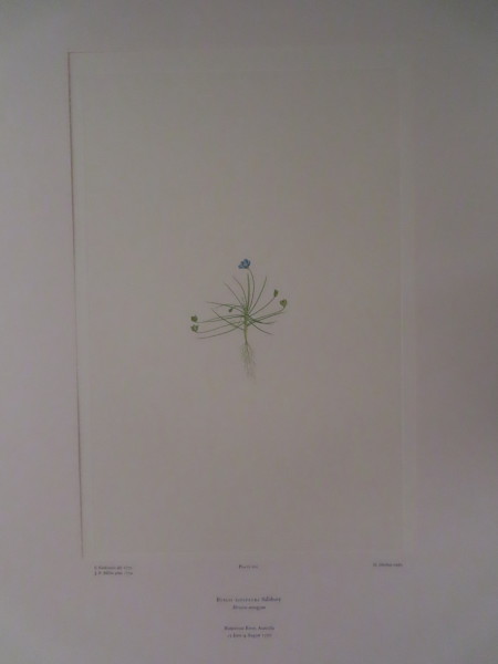 image FDA-E.2916_5_14-2016-A