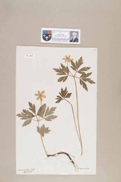 NHM_HH_7.22-2010 image NHM_HH_7.22-2010