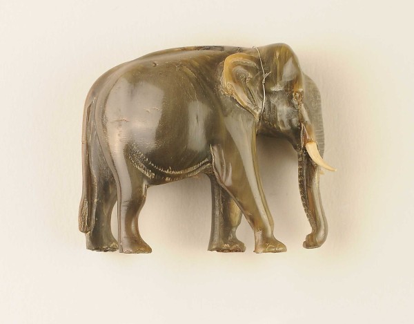 NHM-EE.103-2015 image NHM-EE.103-2015