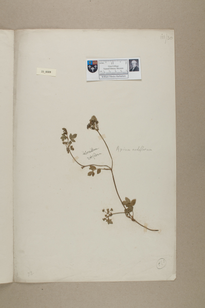 NHM_HH_22.9-2010 image NHM_HH_22.9-2010