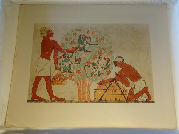 FDA-E.3055_23-2018 image FDA-E.3055_23-2018