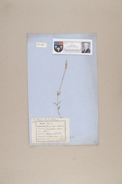 NHM_HH_9.27-2010 image NHM_HH_9.27-2010