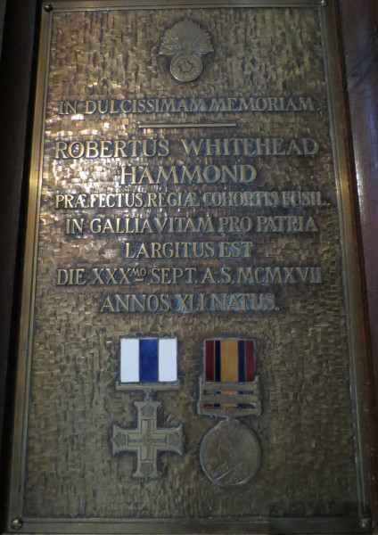 image FDA-A.791-2018