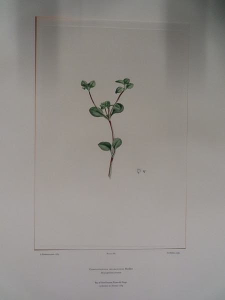 image FDA-E.2916_32_18-2016