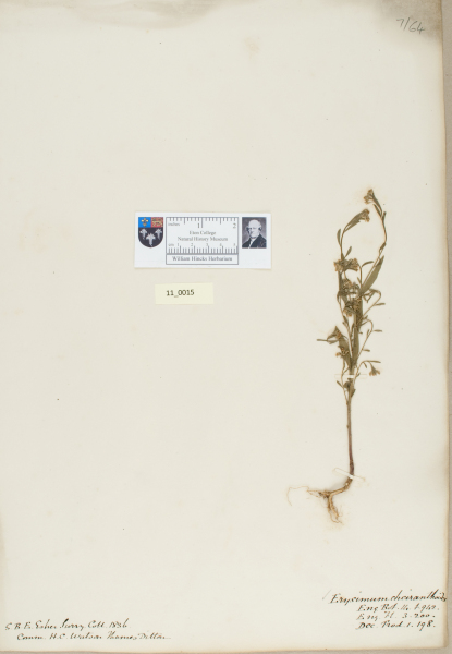 NHM_HH_11.15-2010 image NHM_HH_11.15-2010