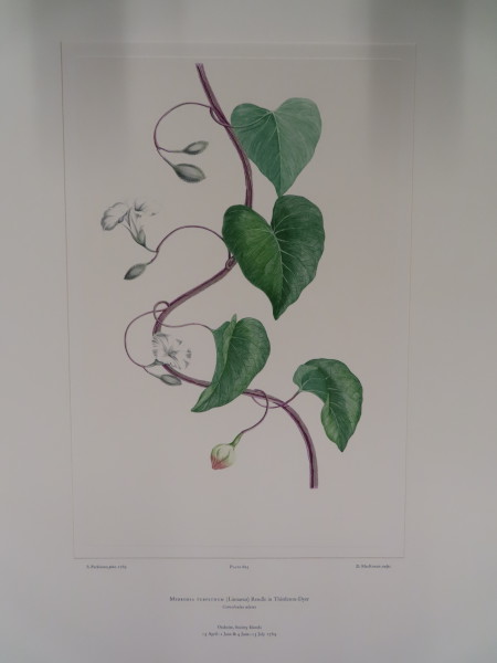 image FDA-E.2916_29_22-2016