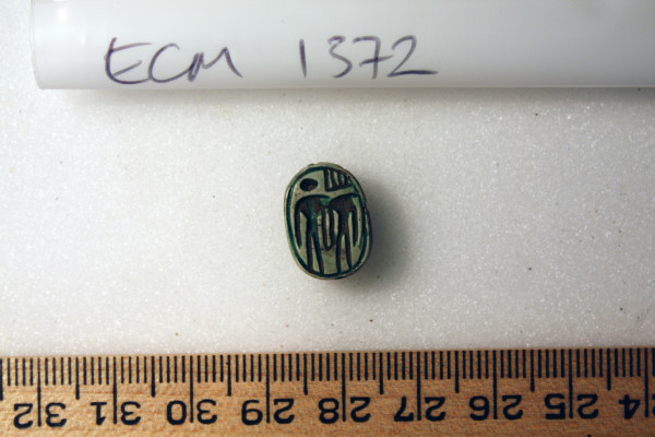 ECM.1372-2010-B image ECM.1372-2010-B