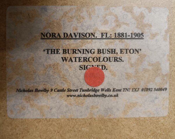 FDA-D.1762-2024-E image FDA-D.1762-2024-E