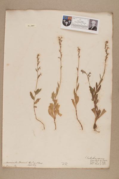 NHM_HH_26.7-2010 image NHM_HH_26.7-2010