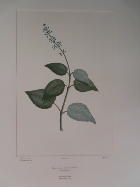 image FDA-E.2916_12_11-2016