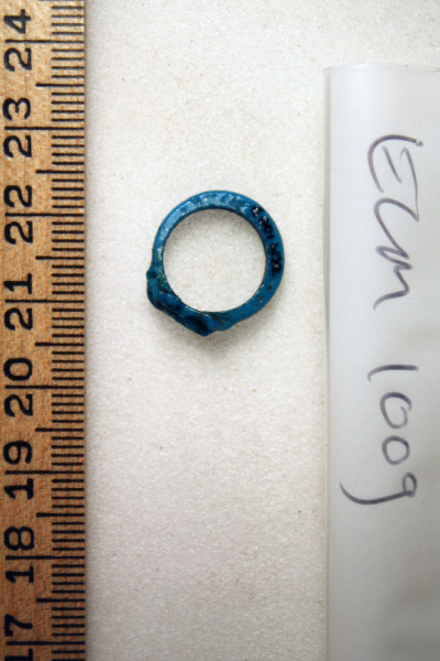 ECM.1009-2010-B image ECM.1009-2010-B