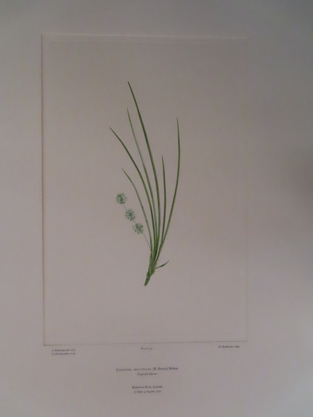 image FDA-E.2916_15_19-2016