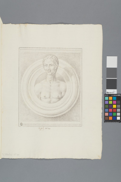 ECL-Bm.12_54-2013 image ECL-Bm.12_54-2013