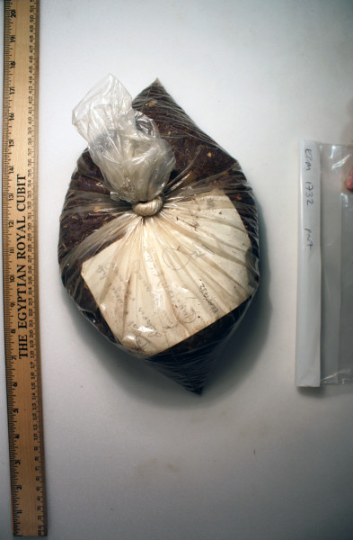 ECM.1732-2010-R image ECM.1732-2010-R