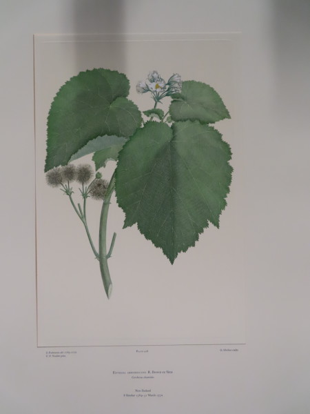 image FDA-E.2916_20_20-2016