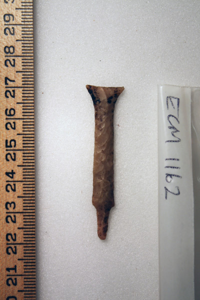 ECM.1162-2010-A image ECM.1162-2010-A