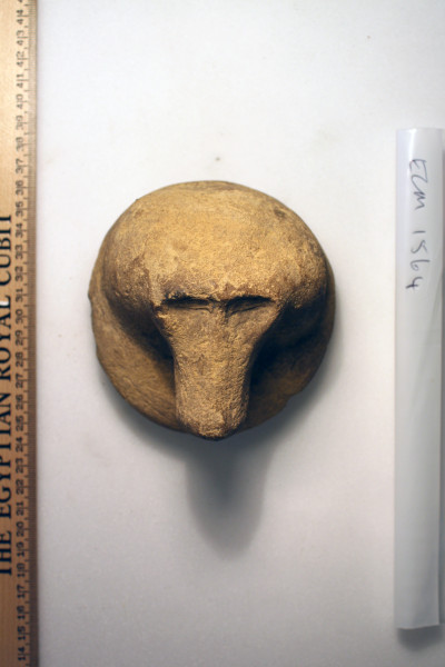 ECM.1564-2010-C image ECM.1564-2010-C