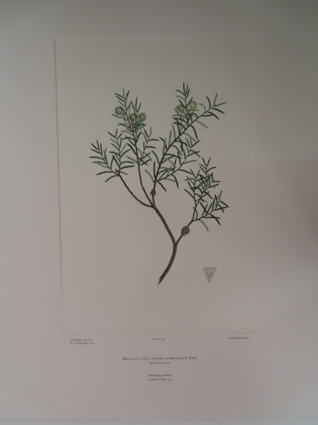 image FDA-E.2916_6_10-2016-A