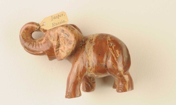 NHM-EE.38-2015 image NHM-EE.38-2015