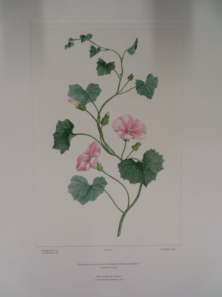 FDA-E.2916_24_23-2016 image FDA-E.2916_24_23-2016