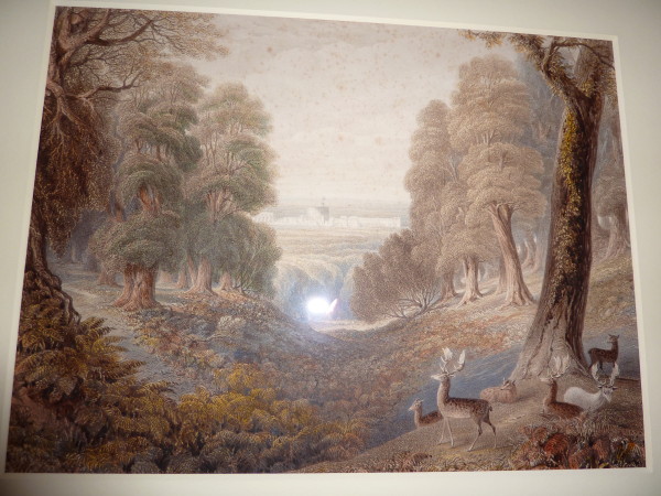 FDA-E.717-2012 image FDA-E.717-2012