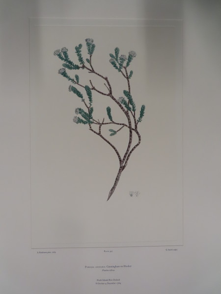 image FDA-E.2916_26_6-2016