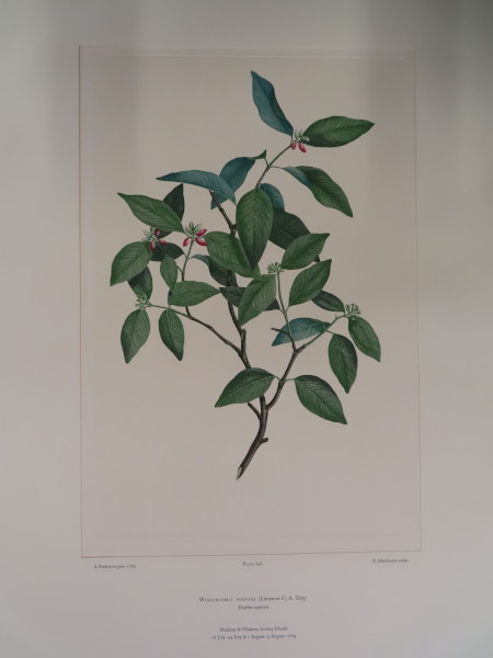 image FDA-E.2916_30_21-2016-A