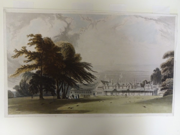 FDA-E.2763-2016 image FDA-E.2763-2016