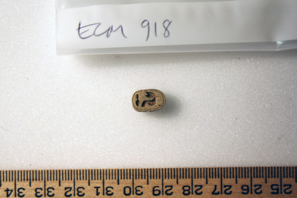 ECM.918-2010-B image ECM.918-2010-B