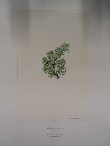 FDA-E.2916_34_9-2016 image FDA-E.2916_34_9-2016