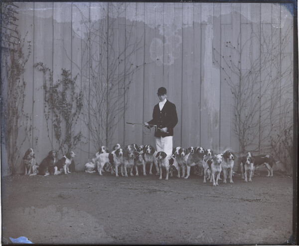 PA-N.1206-2024 image PA-N.1206-2024