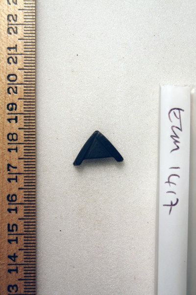 ECM.1417-2010-A image ECM.1417-2010-A